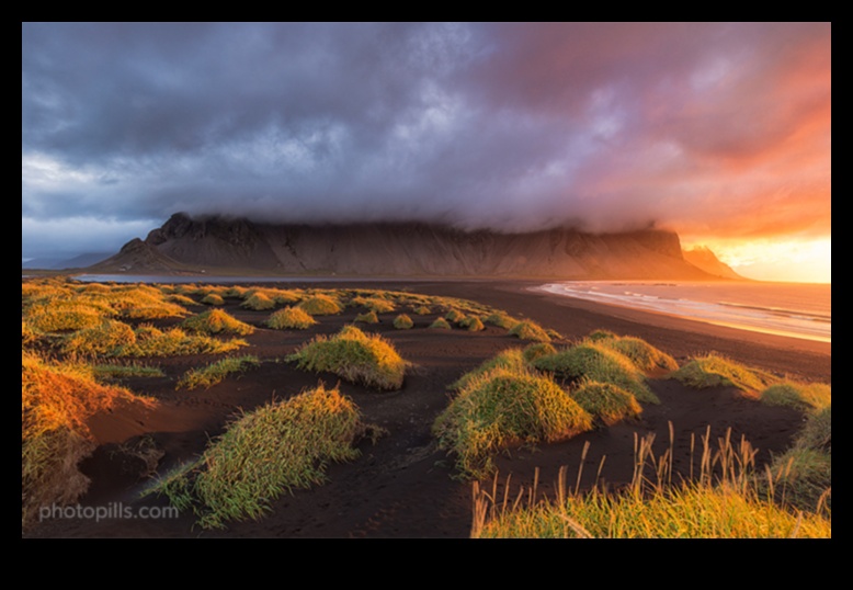 Golden Hour Greatness: Mastering Photography in the Magic Hour